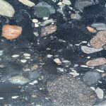 Marble Price List in India,